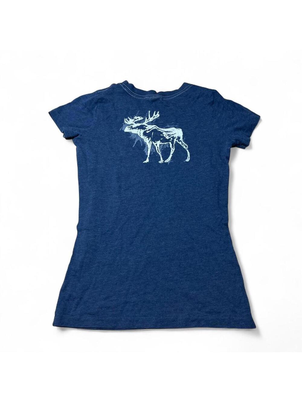 y2k Abercrombie and fitch fitted tee
